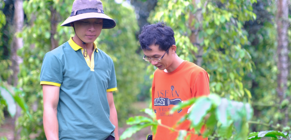 Vườn nhà Cường