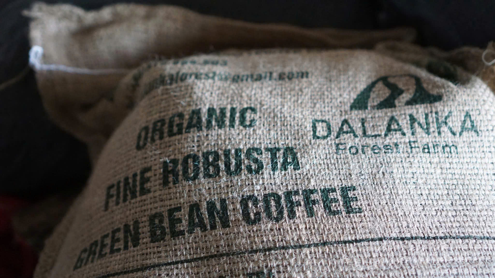 Cà phê vườn rừng Fine Robusta Dalanka
