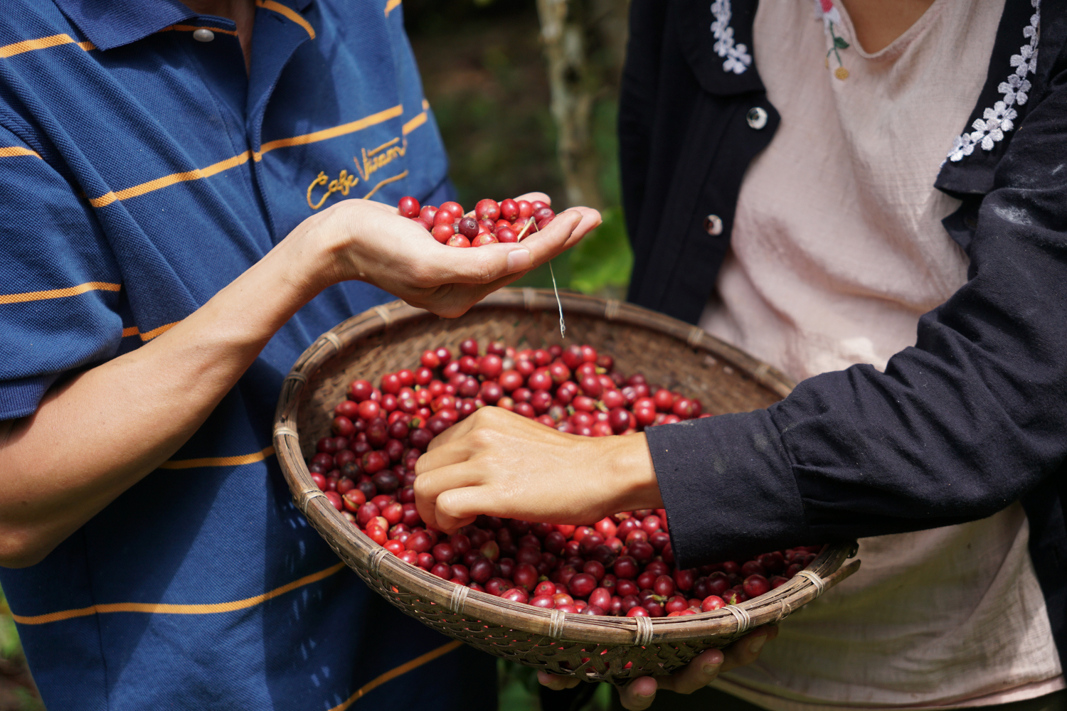 Vườn Chị La — Lazy Village