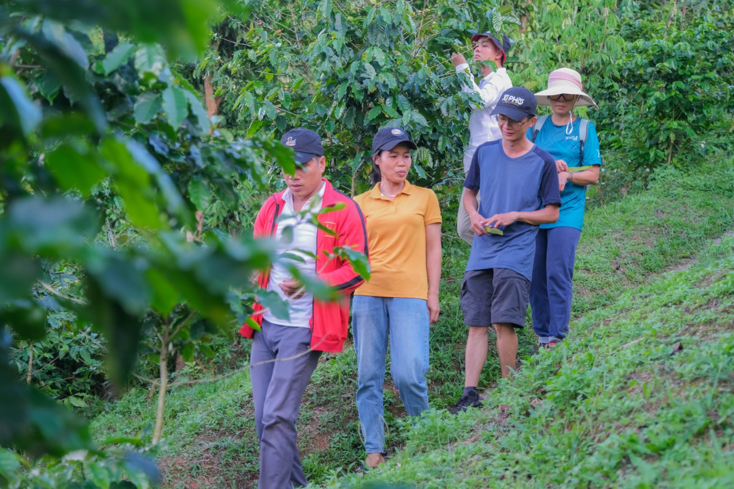 Vườn Hoàng Luận