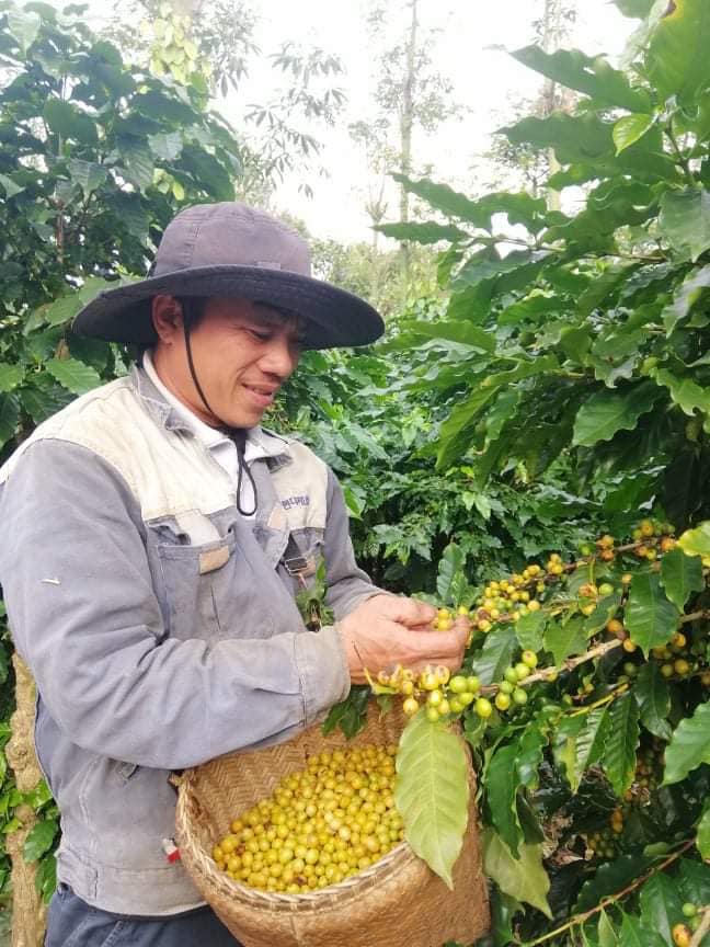 Vườn Hoàng Luận