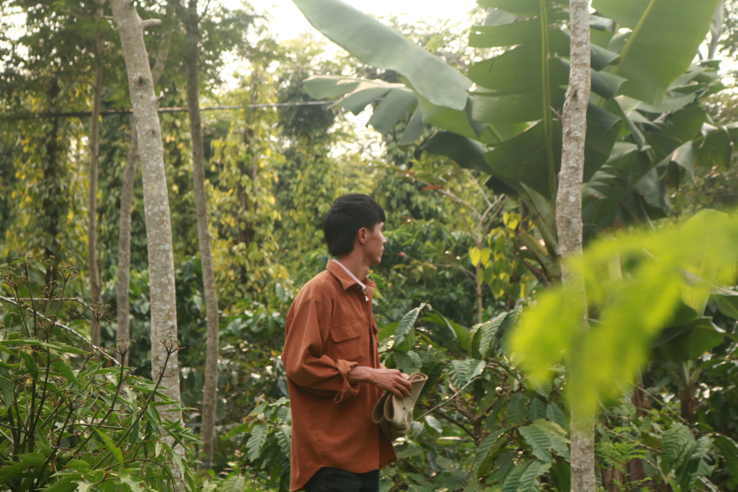 Vườn nhà Dũng
