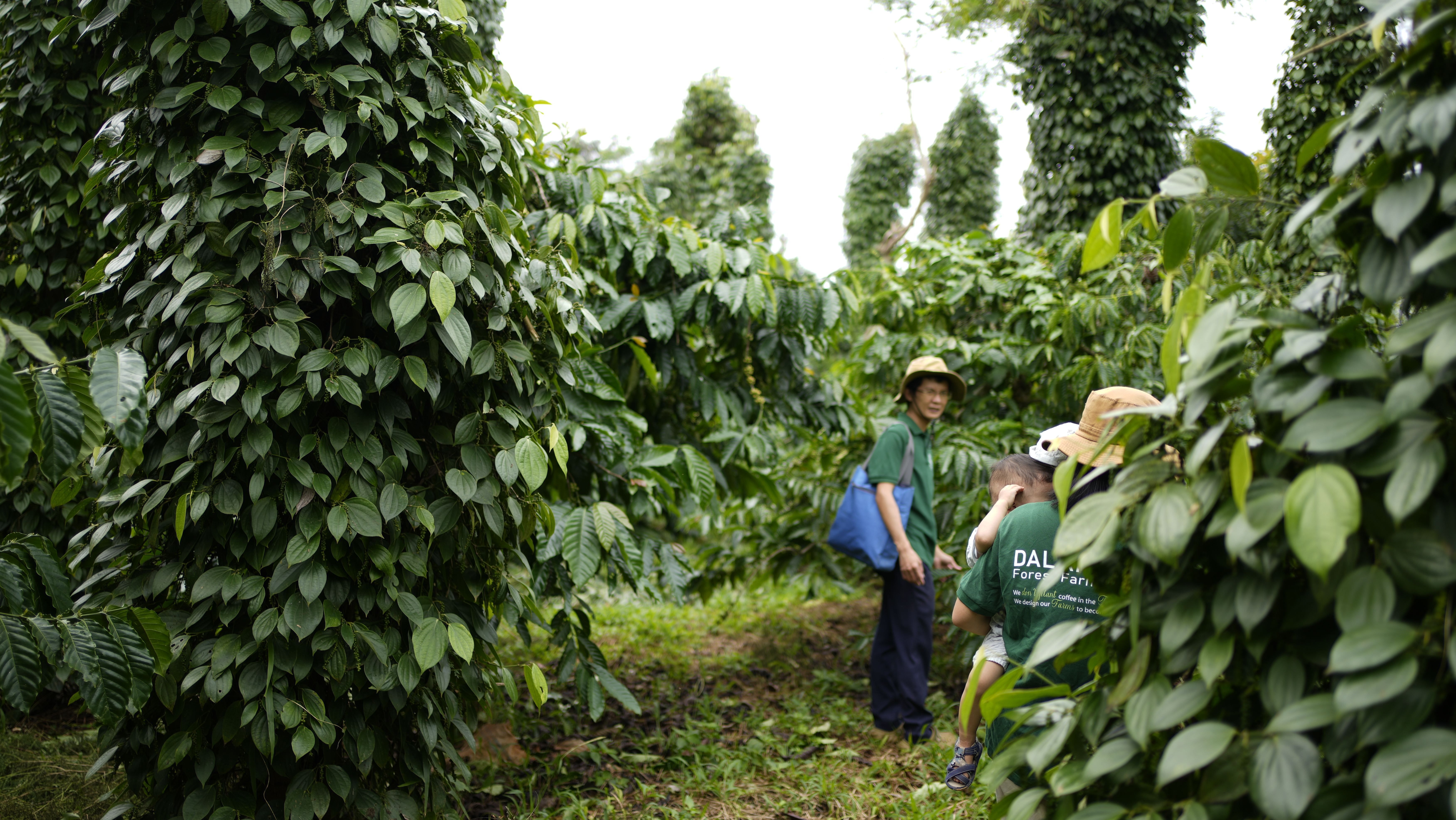 Đi bộ vườn rừng